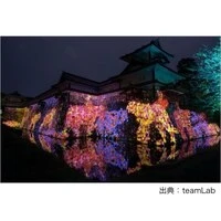 画像296